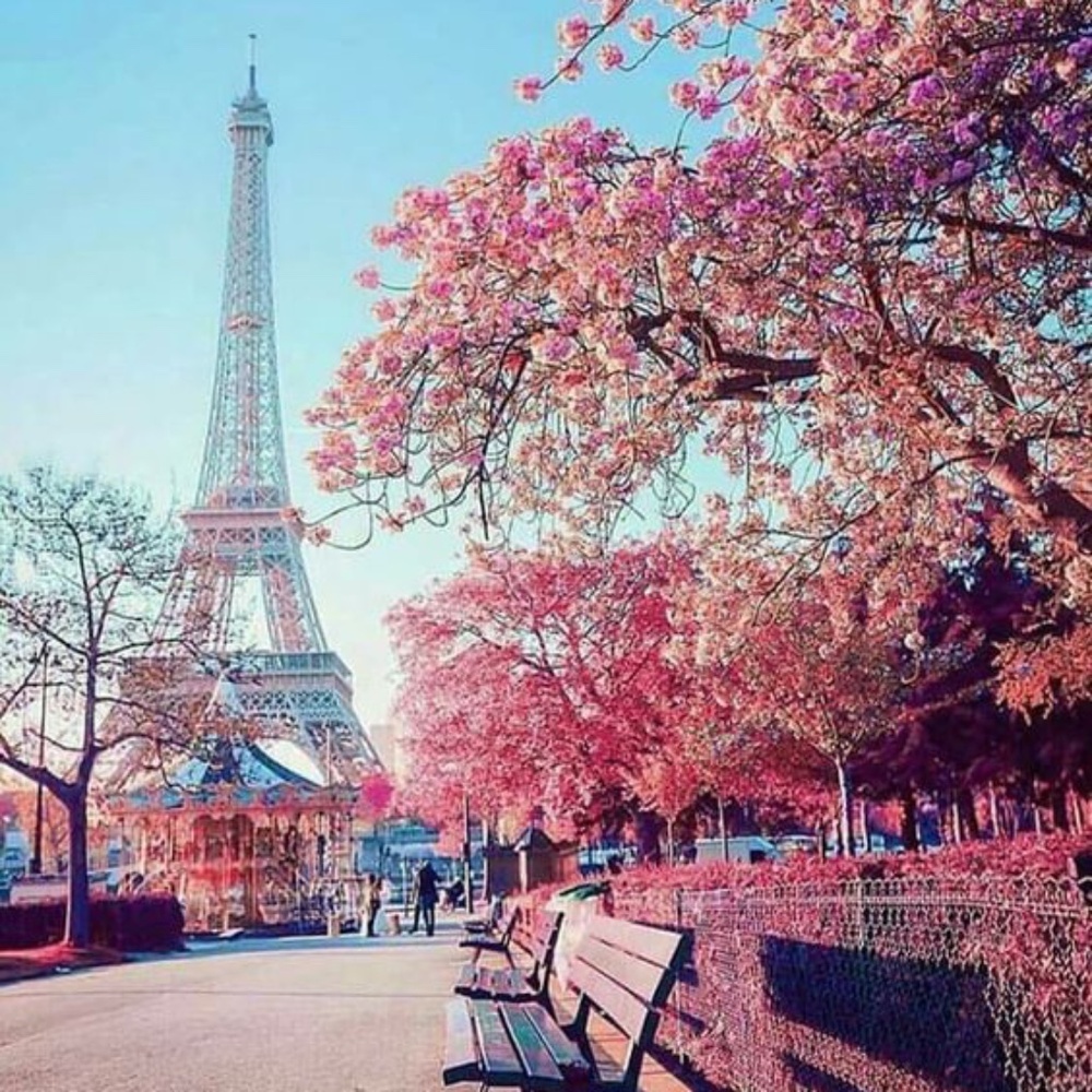 Meet your Posher, Lesy